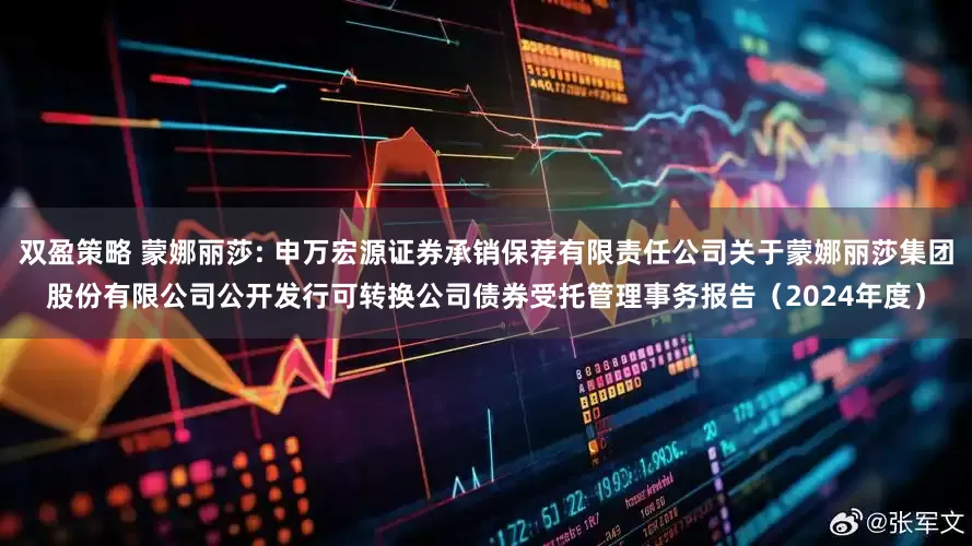 双盈策略 蒙娜丽莎: 申万宏源证券承销保荐有限责任公司关于蒙娜丽莎集团股份有限公司公开发行可转换公司债券受托管理事务报告（2024年度）