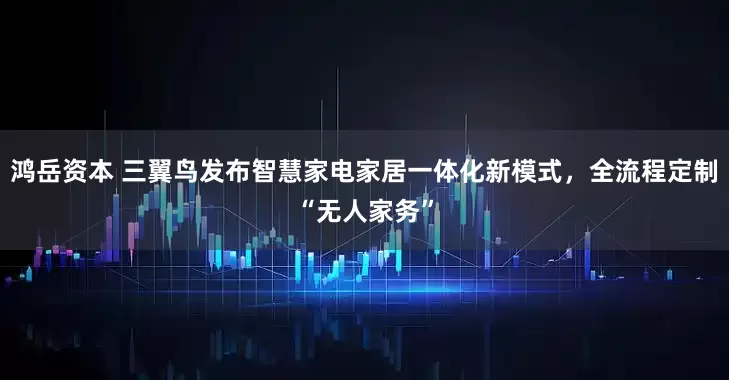 鸿岳资本 三翼鸟发布智慧家电家居一体化新模式，全流程定制“无人家务”