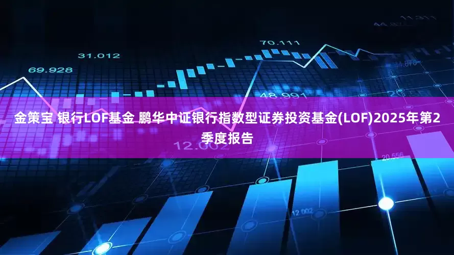 金策宝 银行LOF基金 鹏华中证银行指数型证券投资基金(LOF)2025年第2季度报告